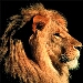 Avatar utente